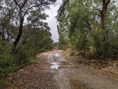 Enlarge photo 45