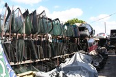Enlarge photo 50