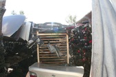 Enlarge photo 51