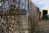 Enlarge photo 45