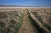 Enlarge photo 32