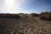 Enlarge photo 34