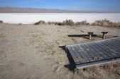 Enlarge photo 37