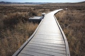 Enlarge photo 38