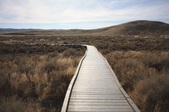 Enlarge photo 41