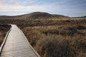 Enlarge photo 42