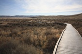 Enlarge photo 43