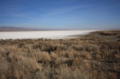 Enlarge photo 45