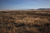 Enlarge photo 46