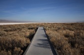 Enlarge photo 47