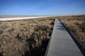 Enlarge photo 48