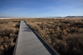 Enlarge photo 49