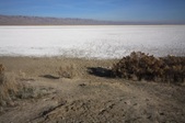 Soda Lake