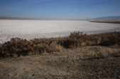 Enlarge photo 54