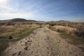 Enlarge photo 56