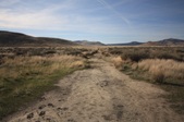 Enlarge photo 57