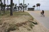Enlarge photo 59