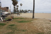 Enlarge photo 65