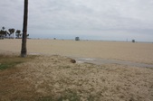 Enlarge photo 66
