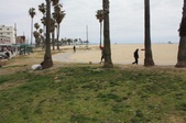 Enlarge photo 71
