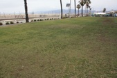 Enlarge photo 35