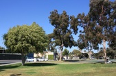 Enlarge photo 17