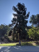 Enlarge photo 17