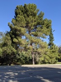 Enlarge photo 29