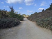 Enlarge photo 1