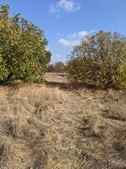 Enlarge photo 31