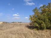 Enlarge photo 33
