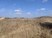 Enlarge photo 34