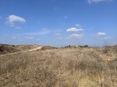 Enlarge photo 35