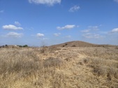 Enlarge photo 36