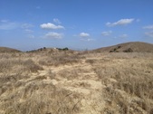 Enlarge photo 37