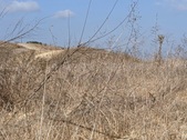 Enlarge photo 39