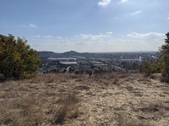 Enlarge photo 40