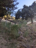 Enlarge photo 81