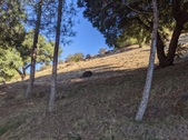 Enlarge photo 82