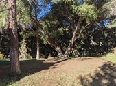 Enlarge photo 84