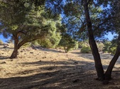 Enlarge photo 87