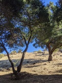Enlarge photo 88
