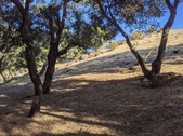 Enlarge photo 89