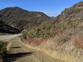 Enlarge photo 17