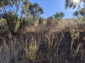 Enlarge photo 18