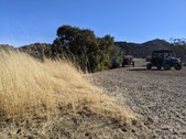 Enlarge photo 31