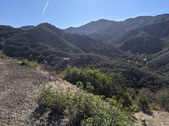 Enlarge photo 34