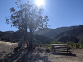 Enlarge photo 35