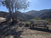 Enlarge photo 37