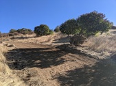 Enlarge photo 38